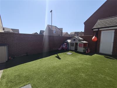 Picture 19